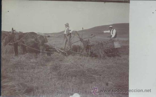 Postales: LABORES DE CAMPO - Foto 1