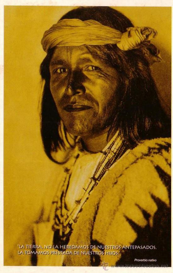Postales: POSTAL DE INDIO CREE  ENVIO GRATIS - Foto 1