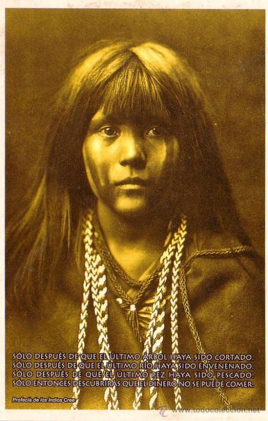 Postales: POSTAL DE INDIO CREE  ENVIO GRATIS - Foto 1