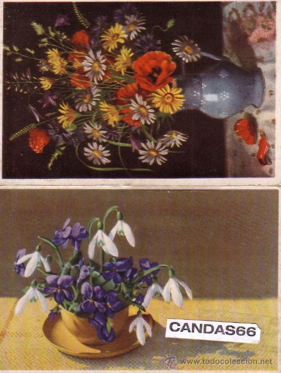 Postales: LOTE DE 2 POSTALES DE FLORES - Foto 1