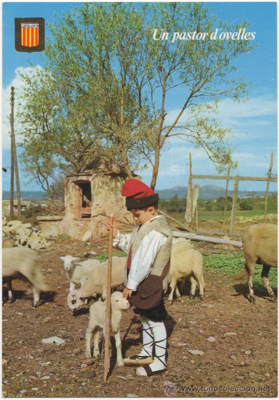 Postales: UN PASTOR DOVELLES. - Foto 1