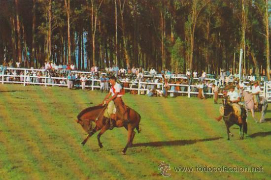 Postales: Brasil, doma de Bagual - Foto 1