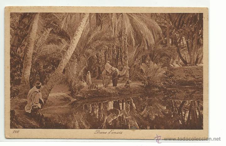 Postales: DANS LOASIS .- EDITION L&L N&ordm; 180 - Foto 1