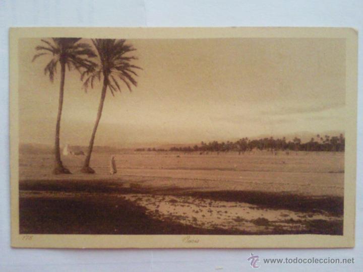 Postales: ANTIGUA POSTAL ETNICA, OASIS - Foto 1