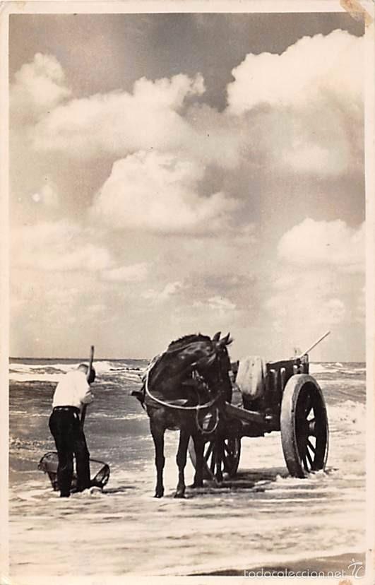 Postales: PESCADOR DE CONCHAS - Foto 1