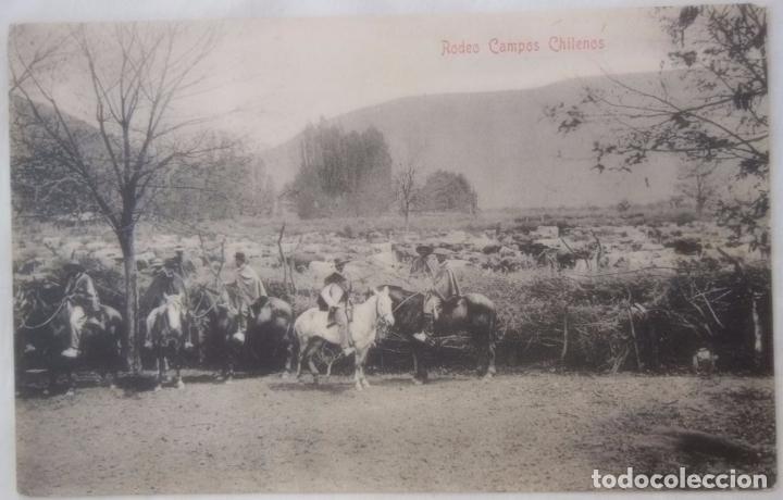 Postales: RODEO CAMPOS CHILENOS. - Foto 1