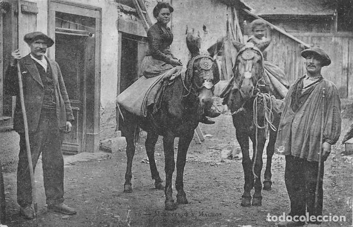 Postales: MULETEROS Y MACHOS - Foto 1