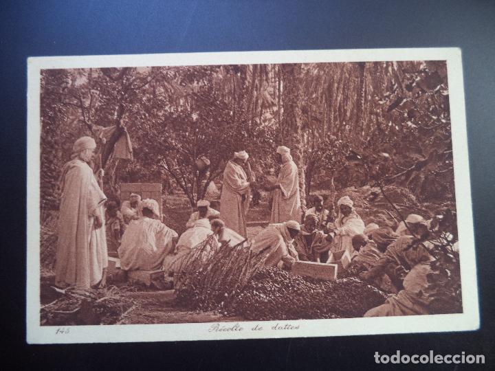 Postales: RECOLTE DE DATTES.L&L - Foto 1