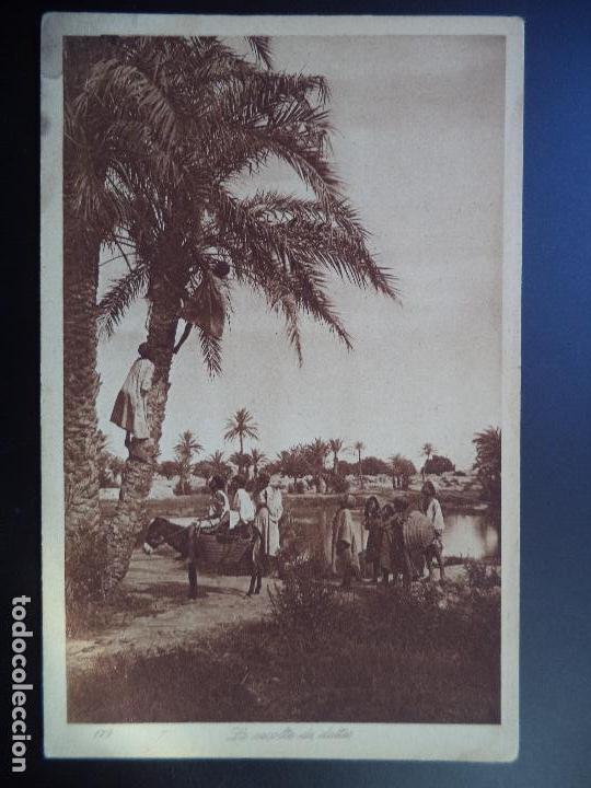 Postales: LE RECOLTE DE DATTES.L&L - Foto 1