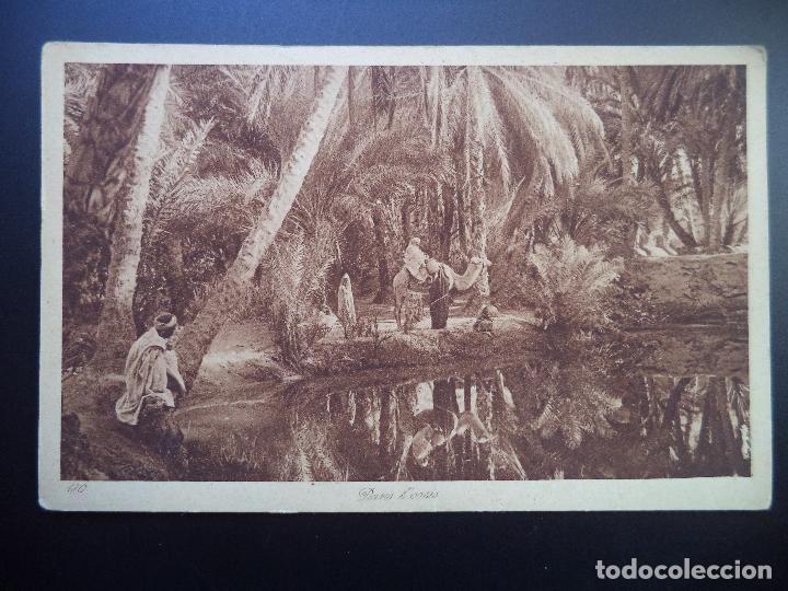 Postales: DANS L&middot;OASIS.L&L - Foto 1