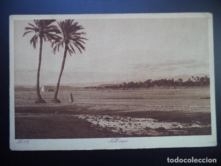 Postales: NELL&middot;OASIS.L&L - Foto 1