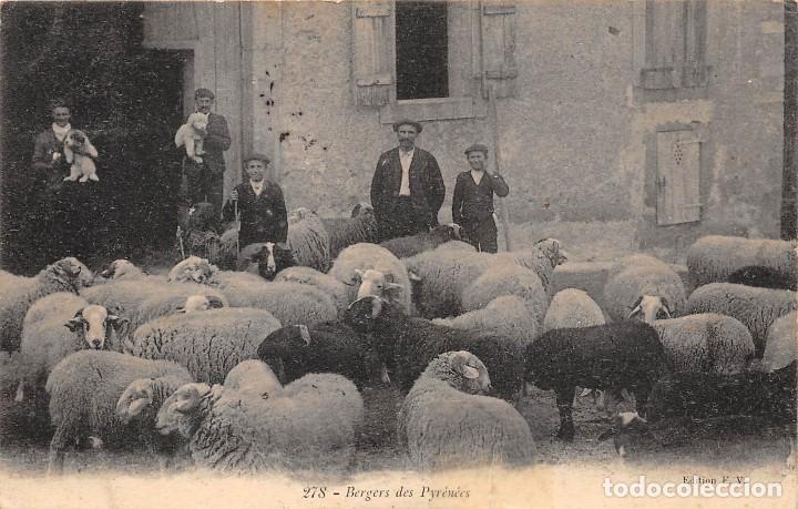 Postales: BERGERS DES PYRENEES - Foto 1