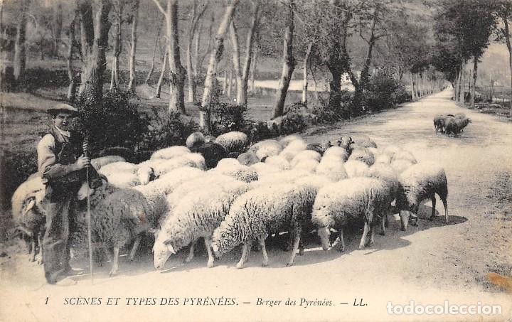 Postales: SCENES ET TYPES DES PYRENEES.- BERGER DES PYREN&Eacute;ES - Foto 1
