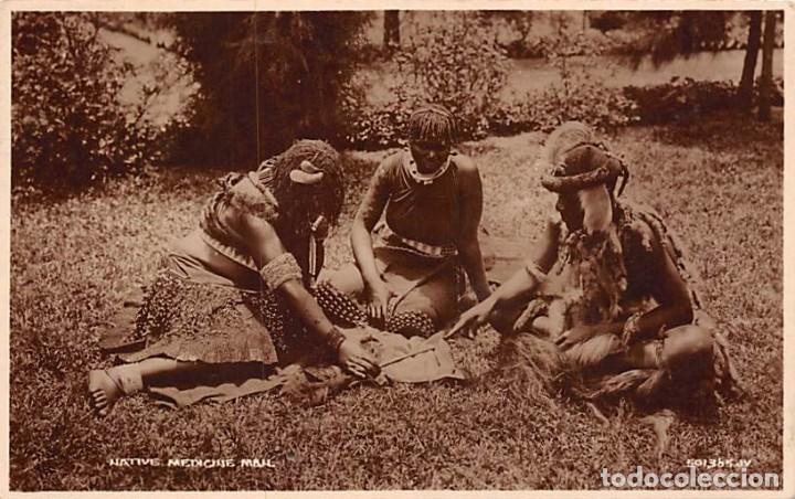 Postales: NATIVE MEDICINE - Foto 1