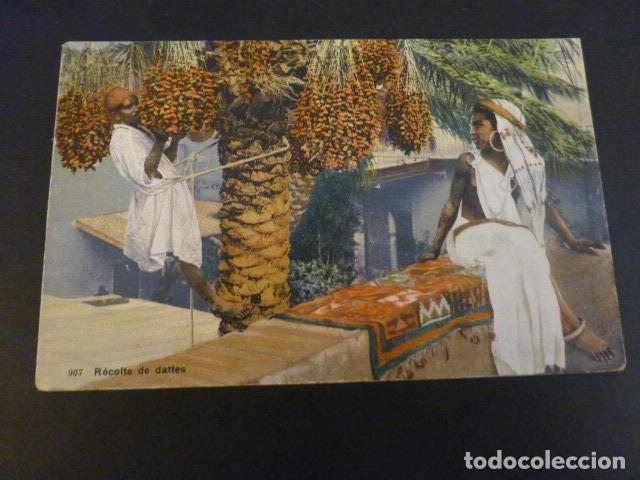 Postales: RECOLECCI&Oacute;N DE DATILES POSTAL ETNICA - Foto 1