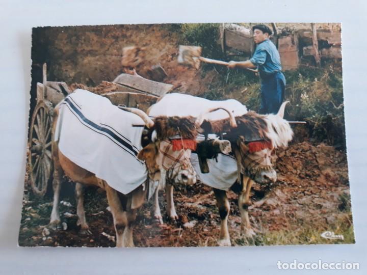 Postales: Tipo vasco bueyes - Foto 1