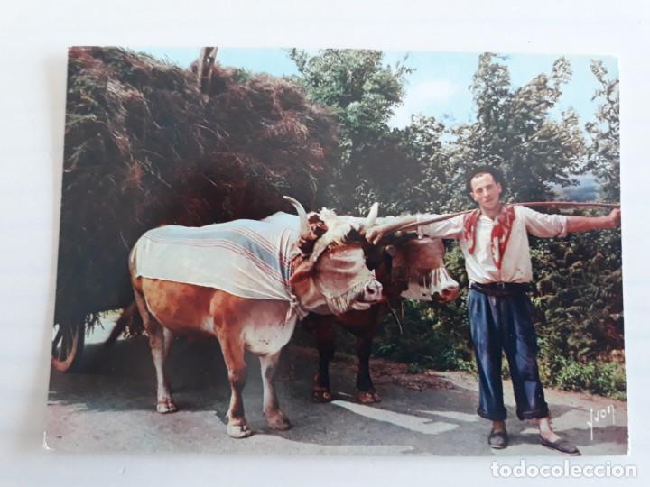 Postales: Tipo vasco bueyes - Foto 1