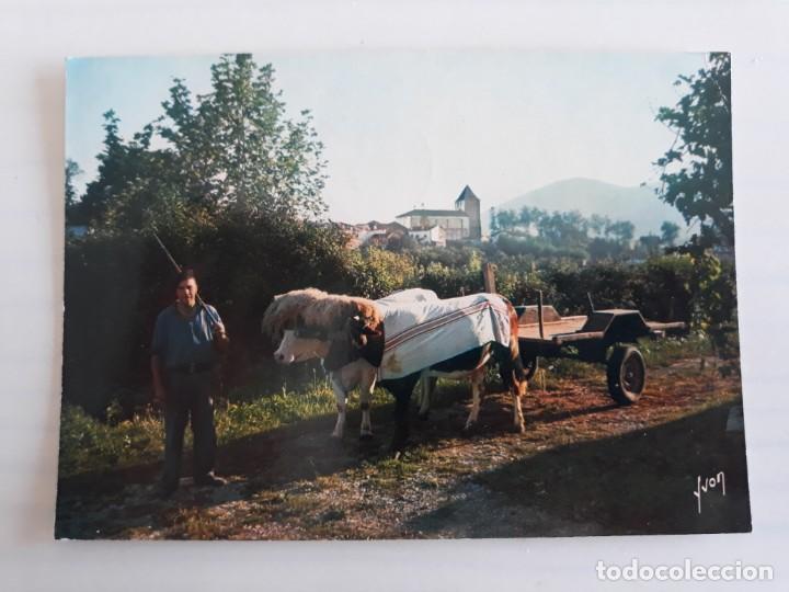 Postales: Tipo vasco bueyes - Foto 1
