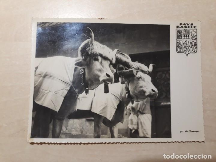 Postales: Bueyes campo - Foto 1