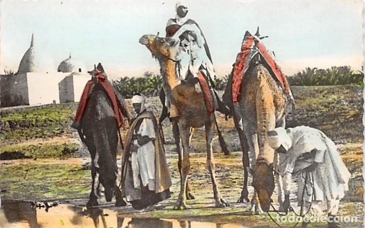Postales: ESCENAS DEL SAHARA - Foto 1
