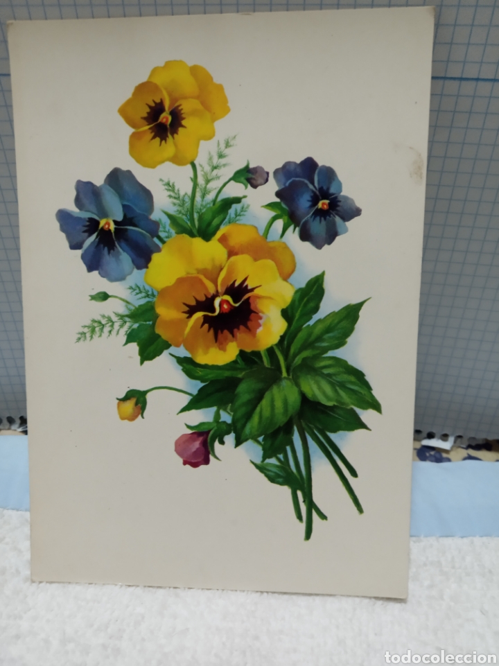 Postales: Flores postal - Foto 1