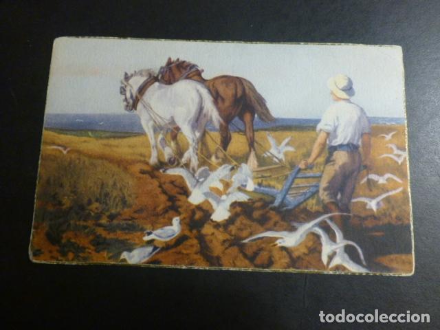 Postales: LABRADOR ARANDO POSTAL - Foto 1
