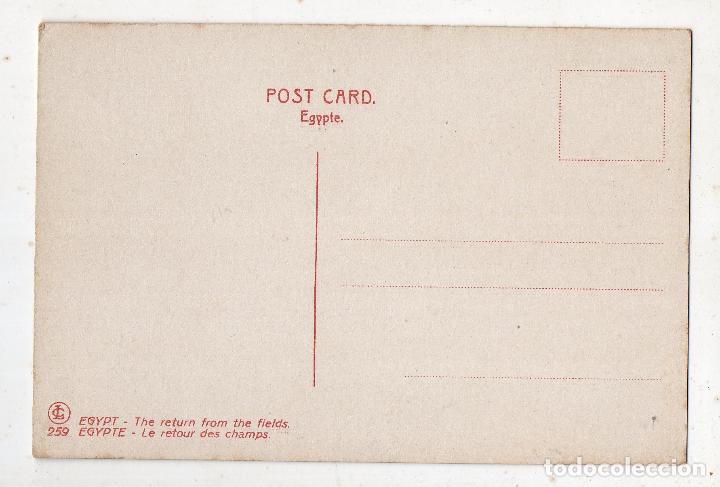 Postales: Egipto. Retornando del Campo. - Foto 2