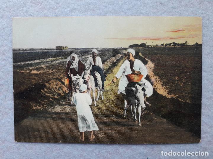 Postales: Egipto. Retornando del Campo. - Foto 1