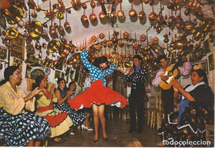 Postales: (1188) ESPA&Ntilde;A TIPICA. BAILE GITANO EN UNA CUEVA - Foto 1