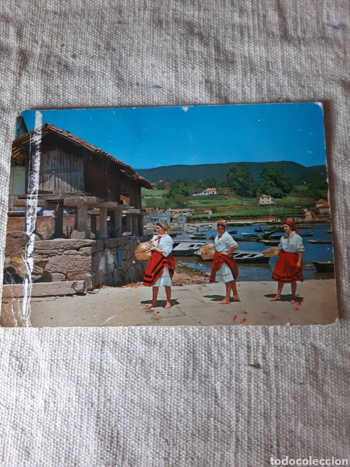 Postales: GALICIA EDICIONES ARRIBAS 2905 - Foto 1