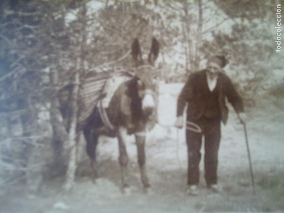 Postales: Hombre con burro en el campo. - Foto 2