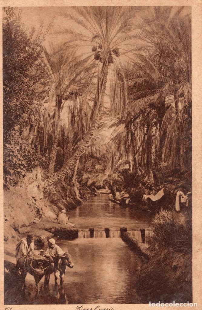 Postales: dans loasis - Foto 1