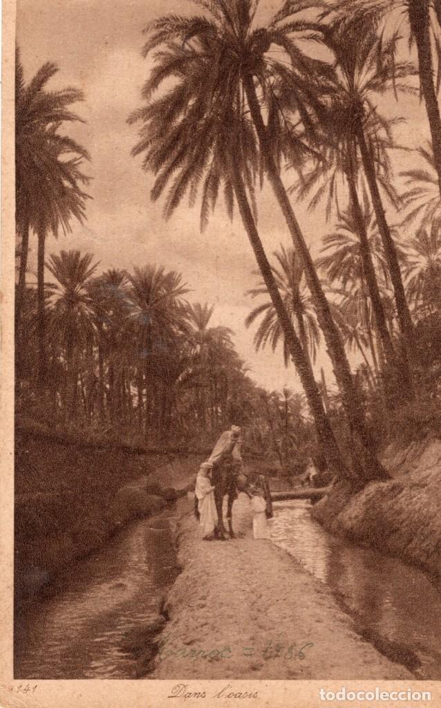 Postales: dans loasis - Foto 1
