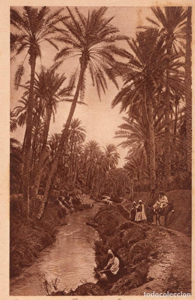 Postales: rivi&egrave;re dans loasis - Foto 1