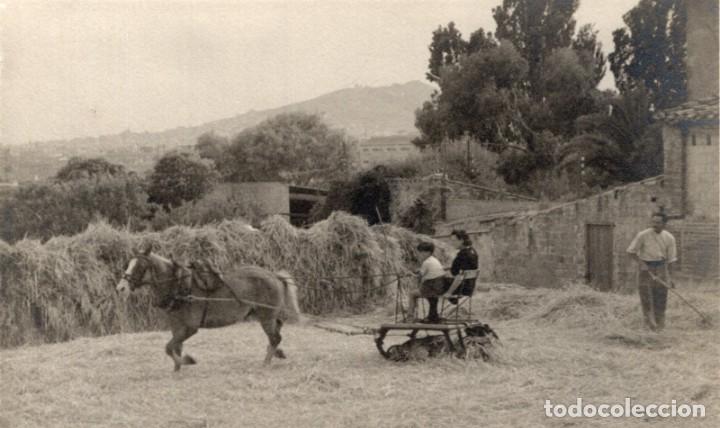 Postales: Agricultura. Trillando - Foto 1