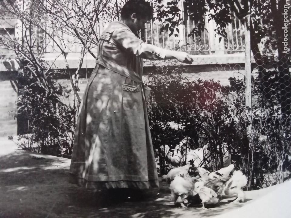Postales: Mujeres dando de comer a las gallinas. - Foto 2