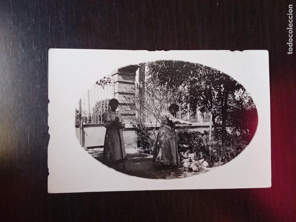 Postales: Mujeres dando de comer a las gallinas. - Foto 1