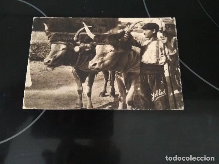 Postales: POSTAL TYPE BASQUE / BASERRITARRA CON BUEYES / YOBLED - Foto 1