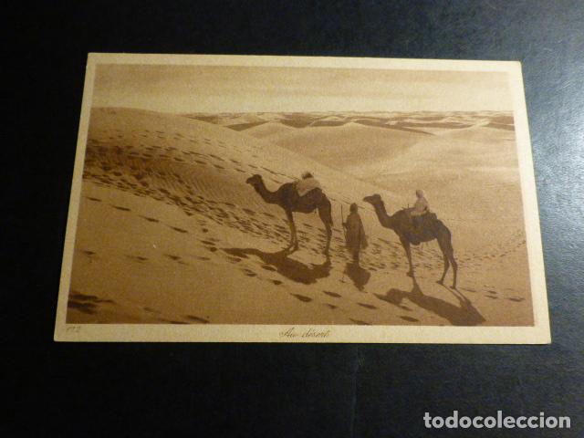 Postales: MARRUECOS TIPOS MARROQUIES POSTAL - Foto 1