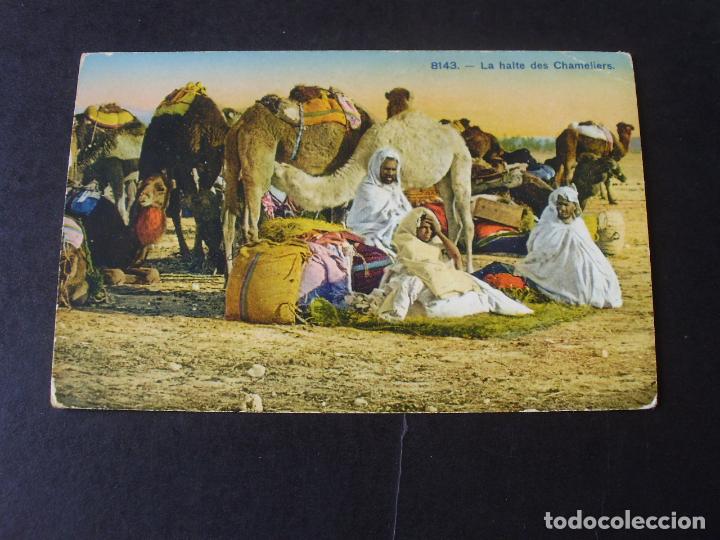 Postales: ARGELIA CAMELLEROS POSTAL ETNICA - Foto 1