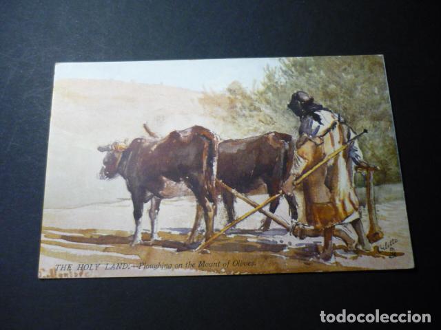 Postales: TIERRA SANTA LABRADOR ARANDO POSTAL - Foto 1