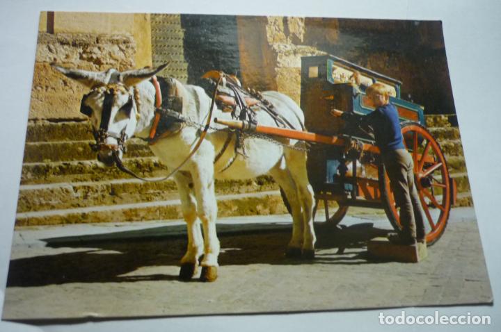 Postales: postal espa&ntilde;a tipica organillo - Foto 1