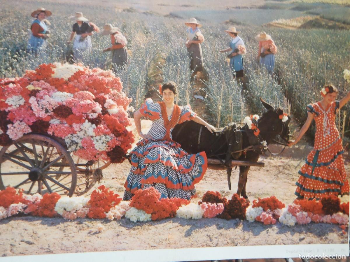 Postales: ESCENA DE CAMPO - Foto 1