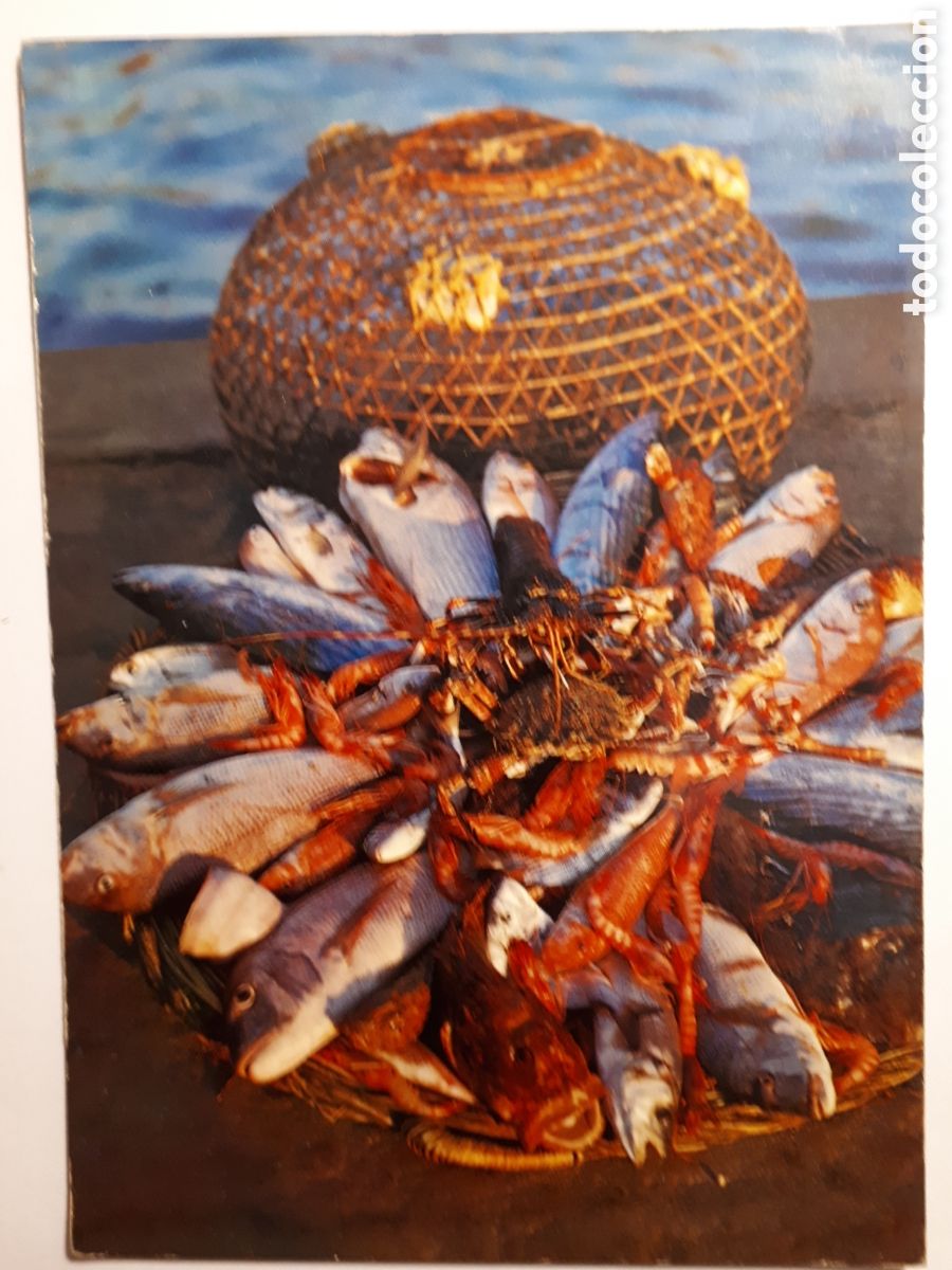 Postales: PANERA T&Iacute;PICA DE PESCADO. POSTAL - Foto 1