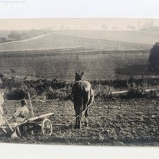 Postales: POSTAL AGRICULTORES ALEMANES 1910S 1930S HAIDELBILDER SERIE VI N°32 V. LUIS KOCH, BREMEN. ARADO