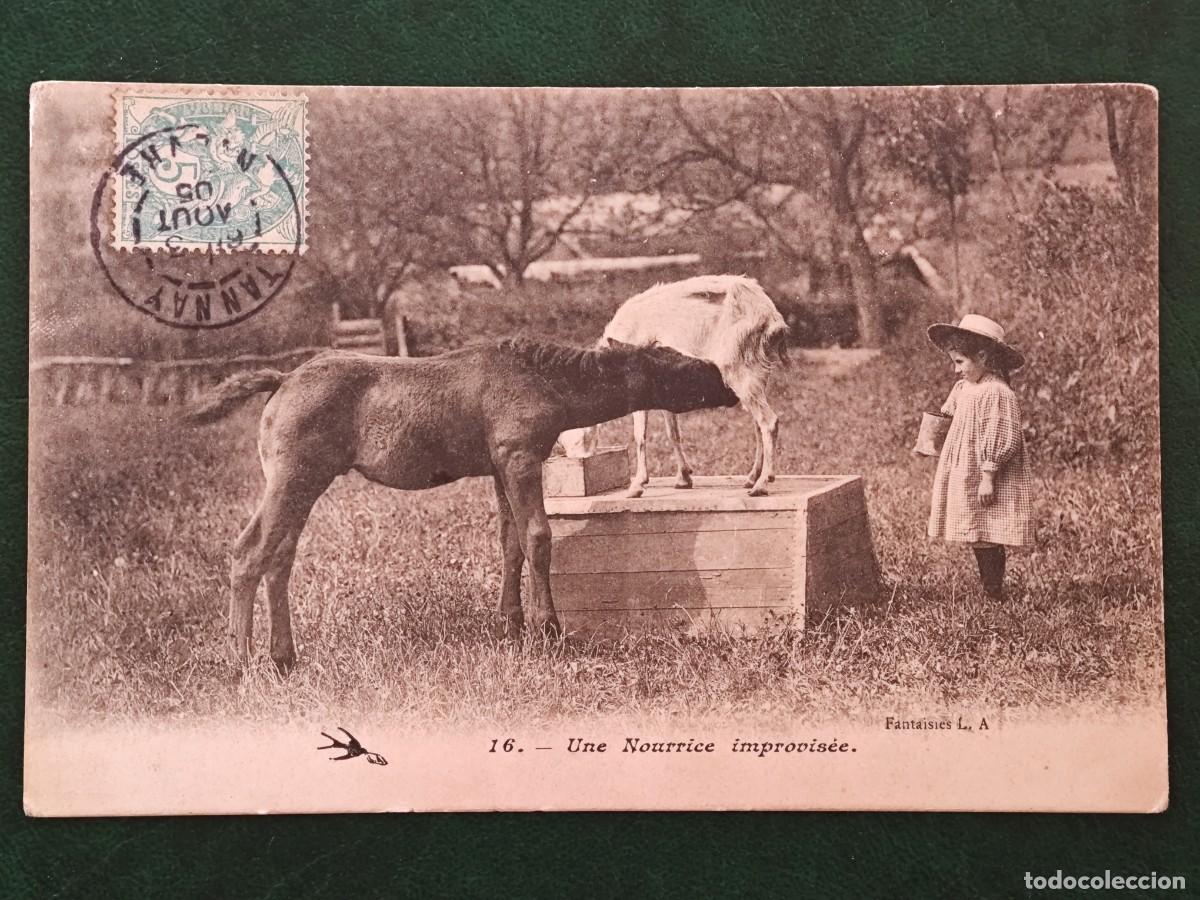 Postales: Postal de Francia Folclore - Foto 1