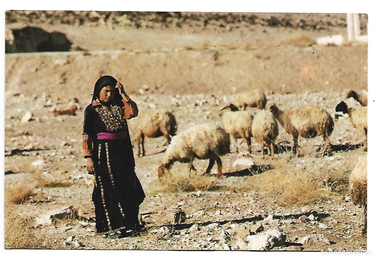 Postales: SHEPHERD GIRL WITH HER FLOCK - Foto 1
