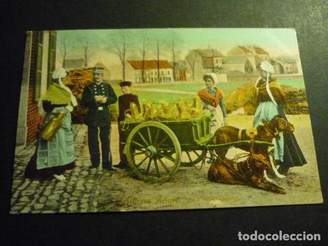 Postales: BELGICA LECHERAS CON PERROS POSTAL - Foto 1
