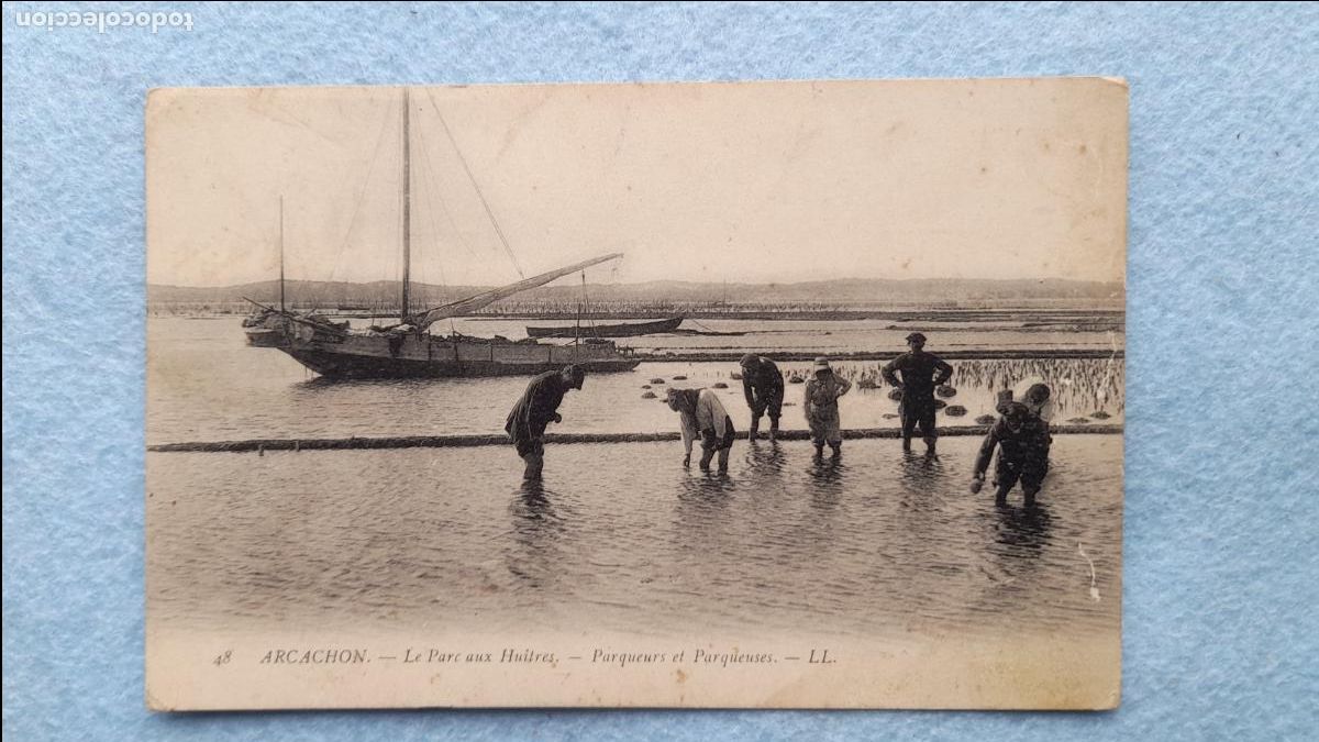 Postales: Arcachon. Pescadores de Ostras. - Foto 1