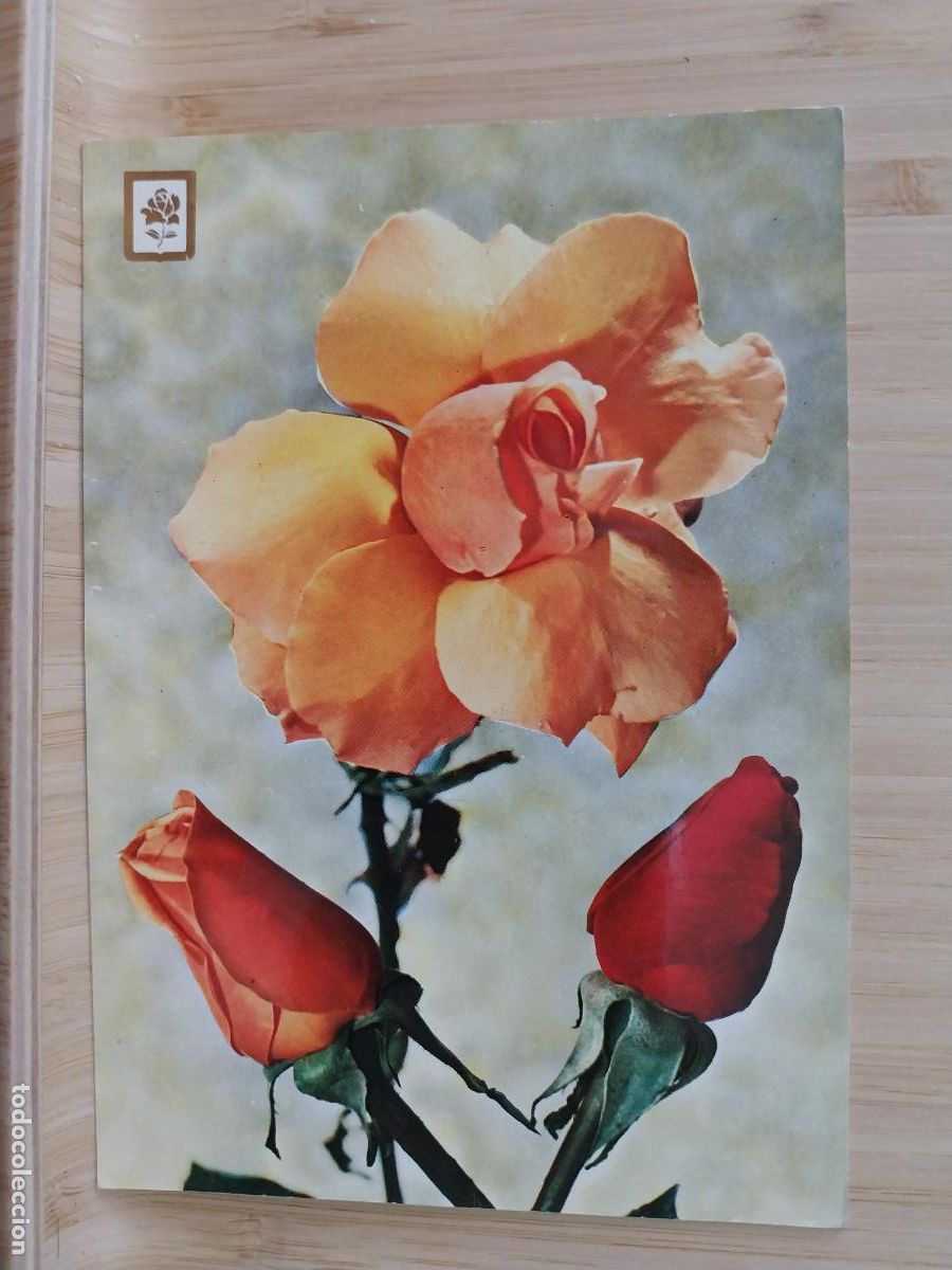 Postales: ROSAS ED FISA 2003 ESCRITA - Foto 1